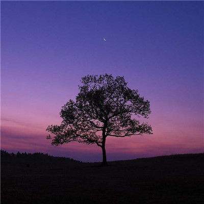 leyu乐鱼下载手机版