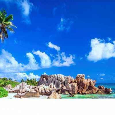 官方盈彩app下载